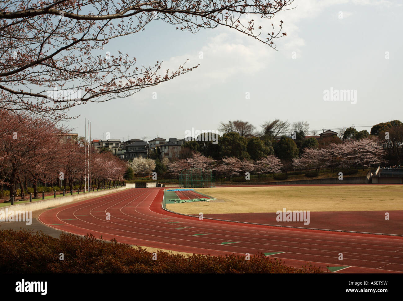 Champ d'une piste de course bordée de cerisiers dans un centre sportif dans Kita-Matsudo, Matsudo City, préfecture de Chiba, au Japon. Banque D'Images