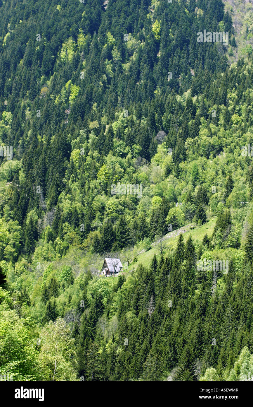 Un chalet de montagne au milieu des arbres, Haute Savoie, Alpes Banque D'Images