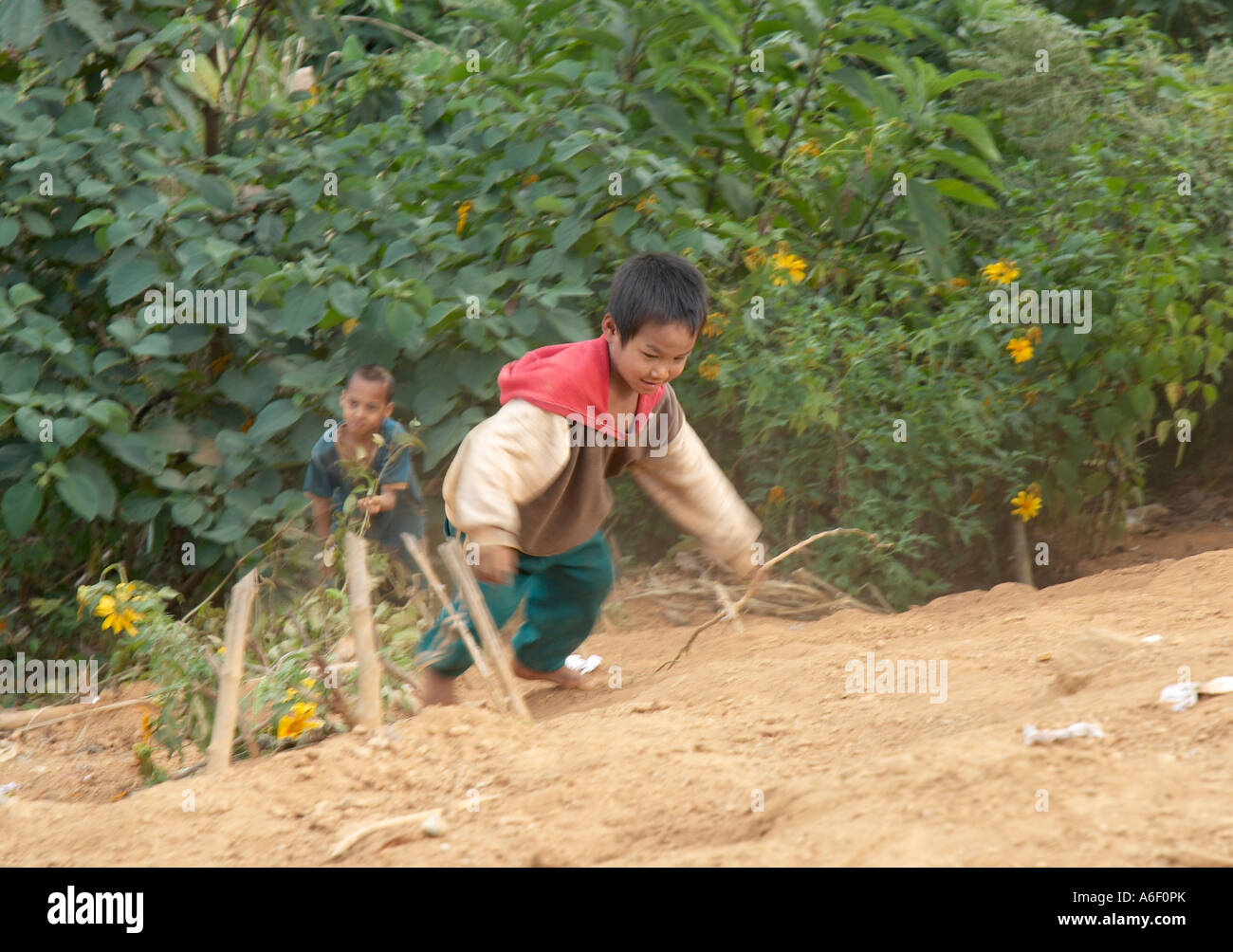 Les enfants d'un village Akha fonctionnant jusqu'à une colline en Thaïlande Banque D'Images