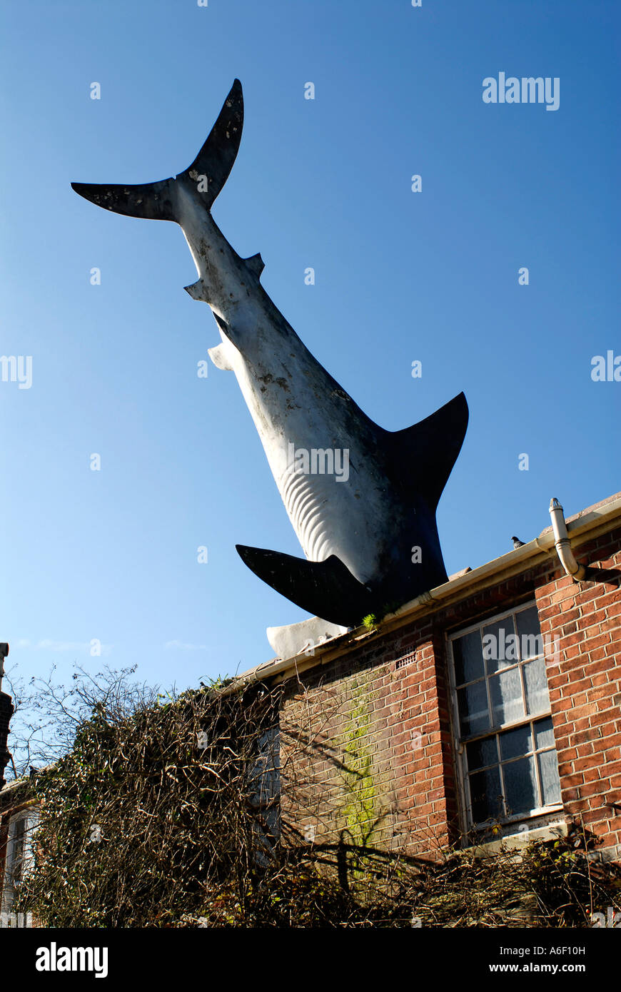 Dans le pavillon des requins d'installation d'art à Oxford Headington Banque D'Images