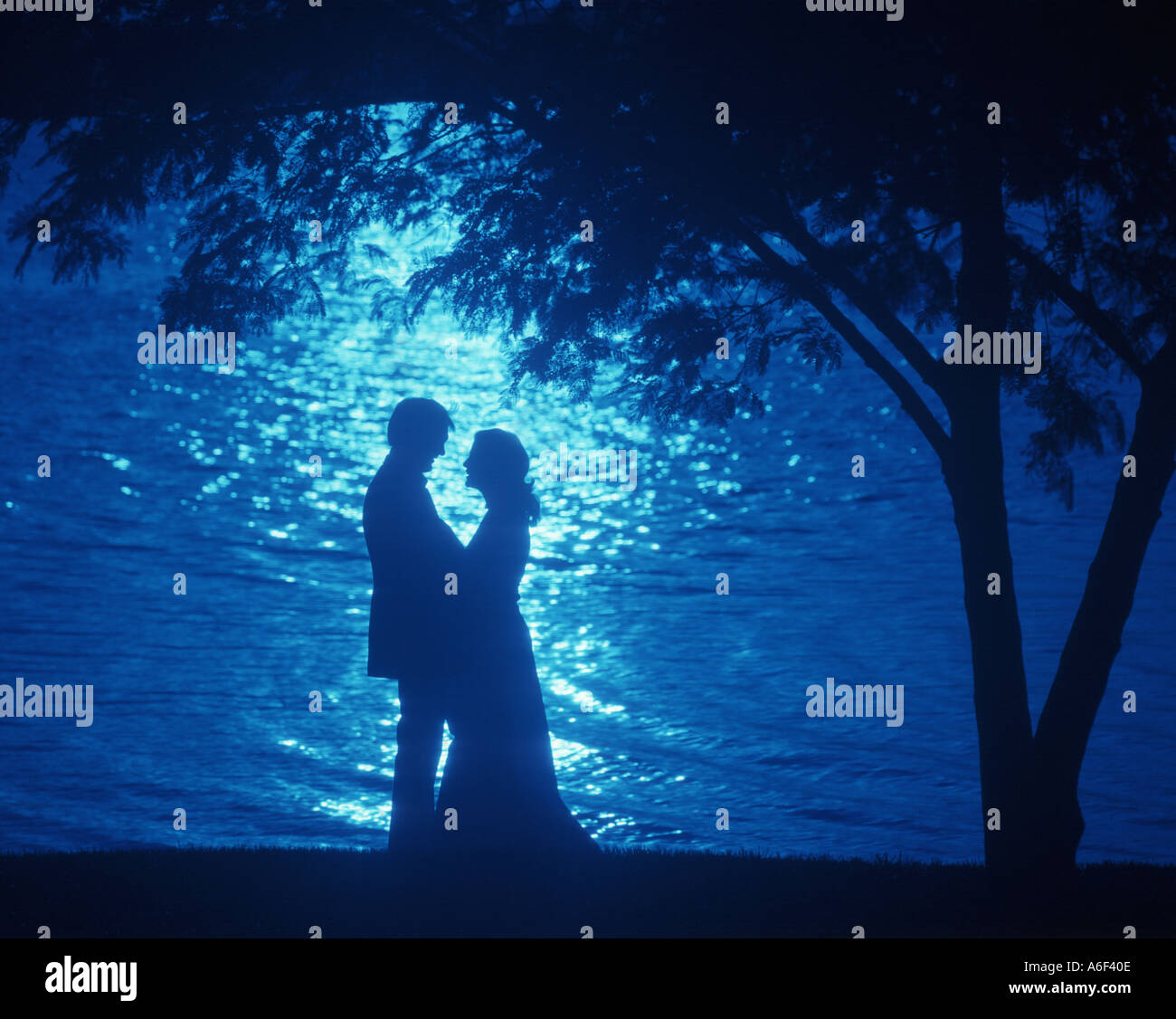 Couple romantique au clair de lune by lake Banque D'Images