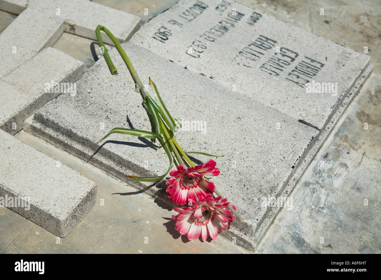 Ambergris Caye BELIZE stèles funéraires et de fleurs en fleur artificielle rose cimetière mis en comprimé en pierre au sommet tombe Banque D'Images