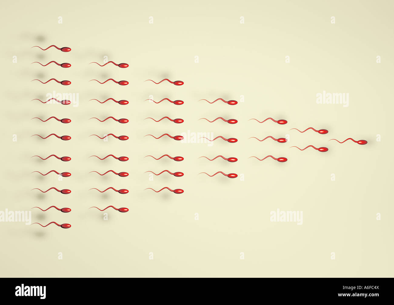 La fécondation des spermatozoïdes insémination fécondation Befruchtung Spermien graphiques 3D Banque D'Images