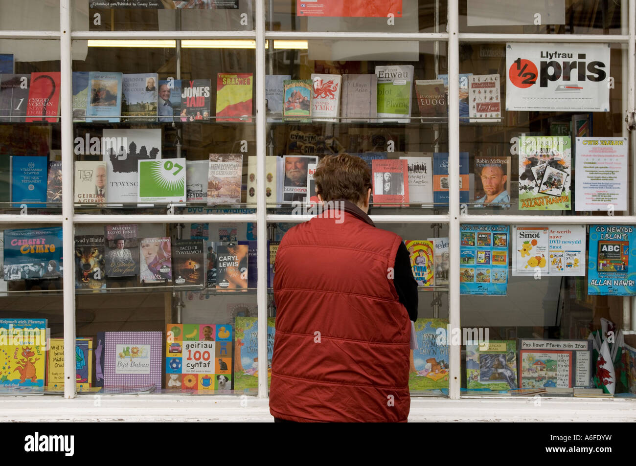 Woman looking at books dans la fenêtre de Siop y Pethe librairie la langue galloise Aberystwyth Wales UK Banque D'Images