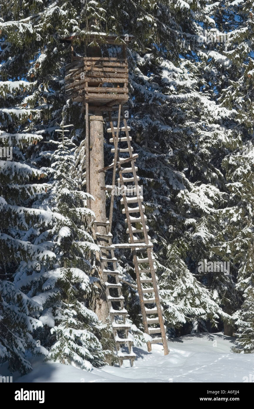 Hunter se tenir entre Winkelmoosalm Haute-bavière Allemagne et Autriche Salzburger Land Heutal Banque D'Images