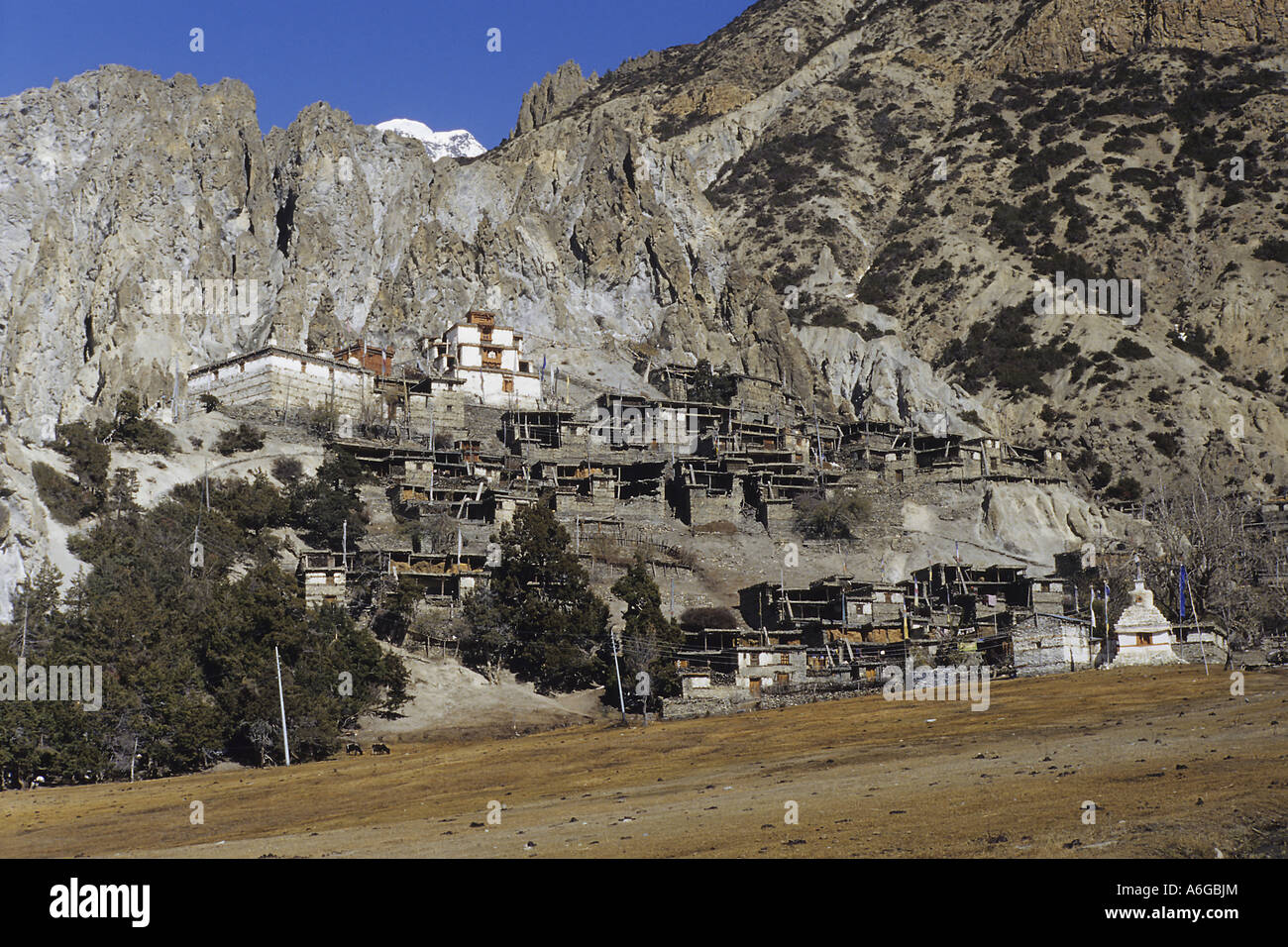 Village Braga, 3470 m de haut, du Népal, de l'Annapurna Banque D'Images