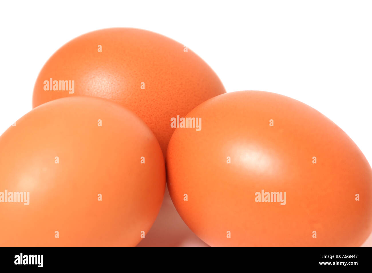 Gros plan de trois œufs de poules Banque D'Images