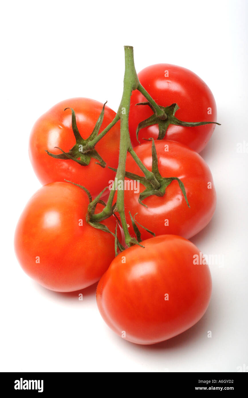 Tomates Tomates fraîches sur la vigne Banque D'Images