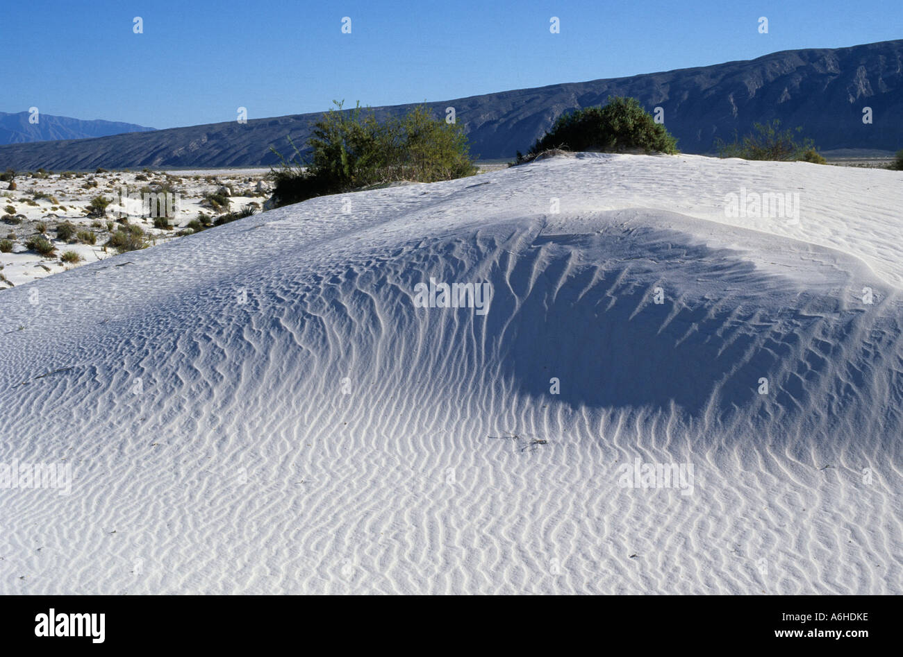 Cuatro Ciénegas Mexique Coahuila désert de gypse de White Sands Banque D'Images