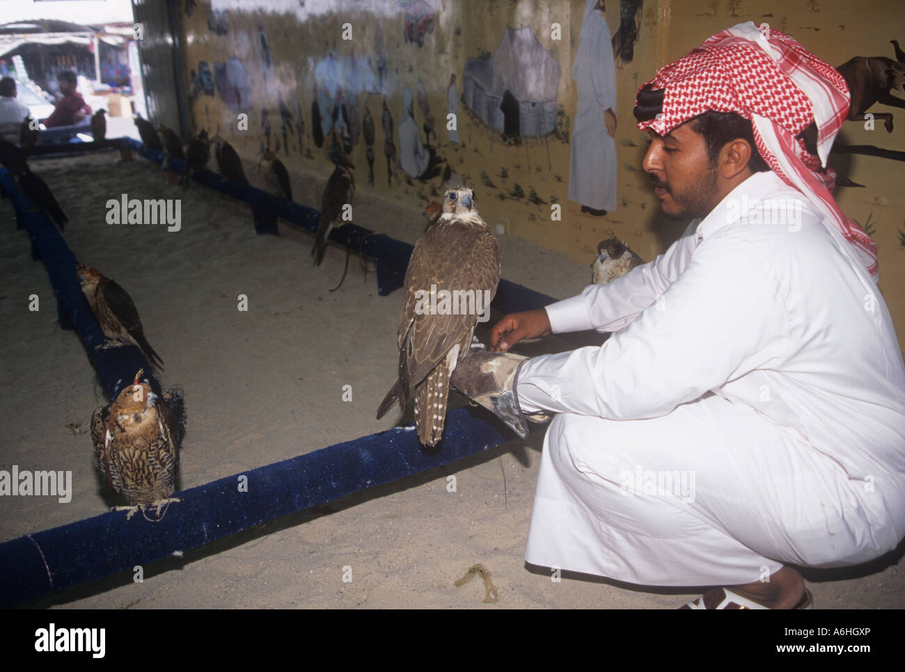 Un homme magasiner pour les faucons dans un magasin de Doha au Qatar, 1995 Banque D'Images