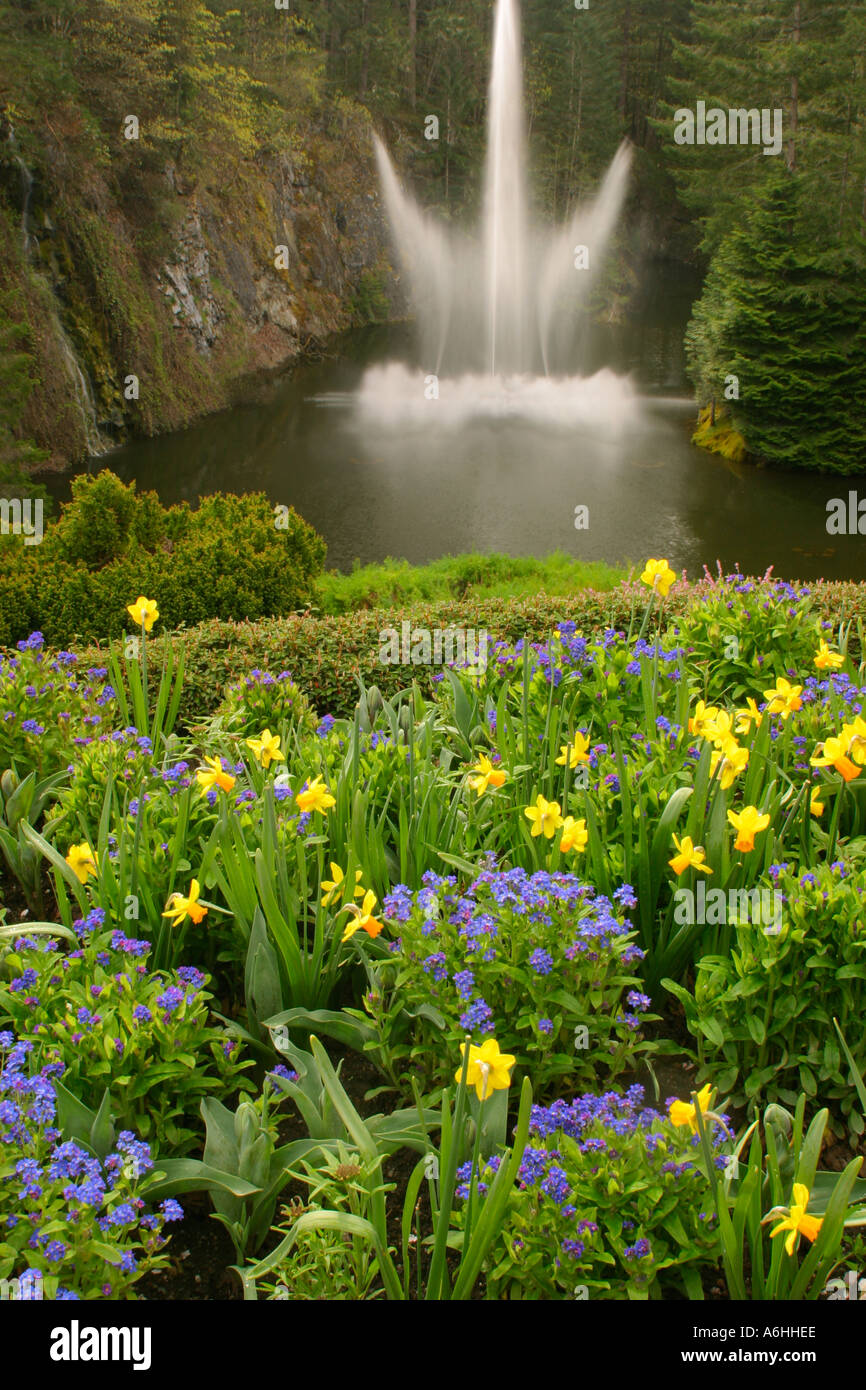 La fontaine de Ross et mixte fleurs en premier plan à Butchart Gardens Banque D'Images