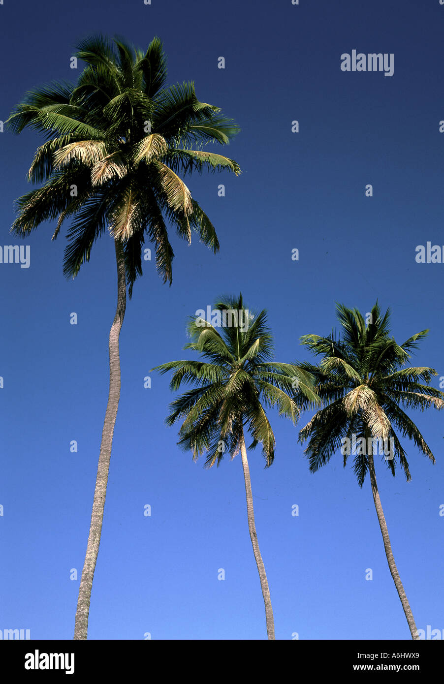 République dominicaine Samana Las Galeras Beach Banque D'Images