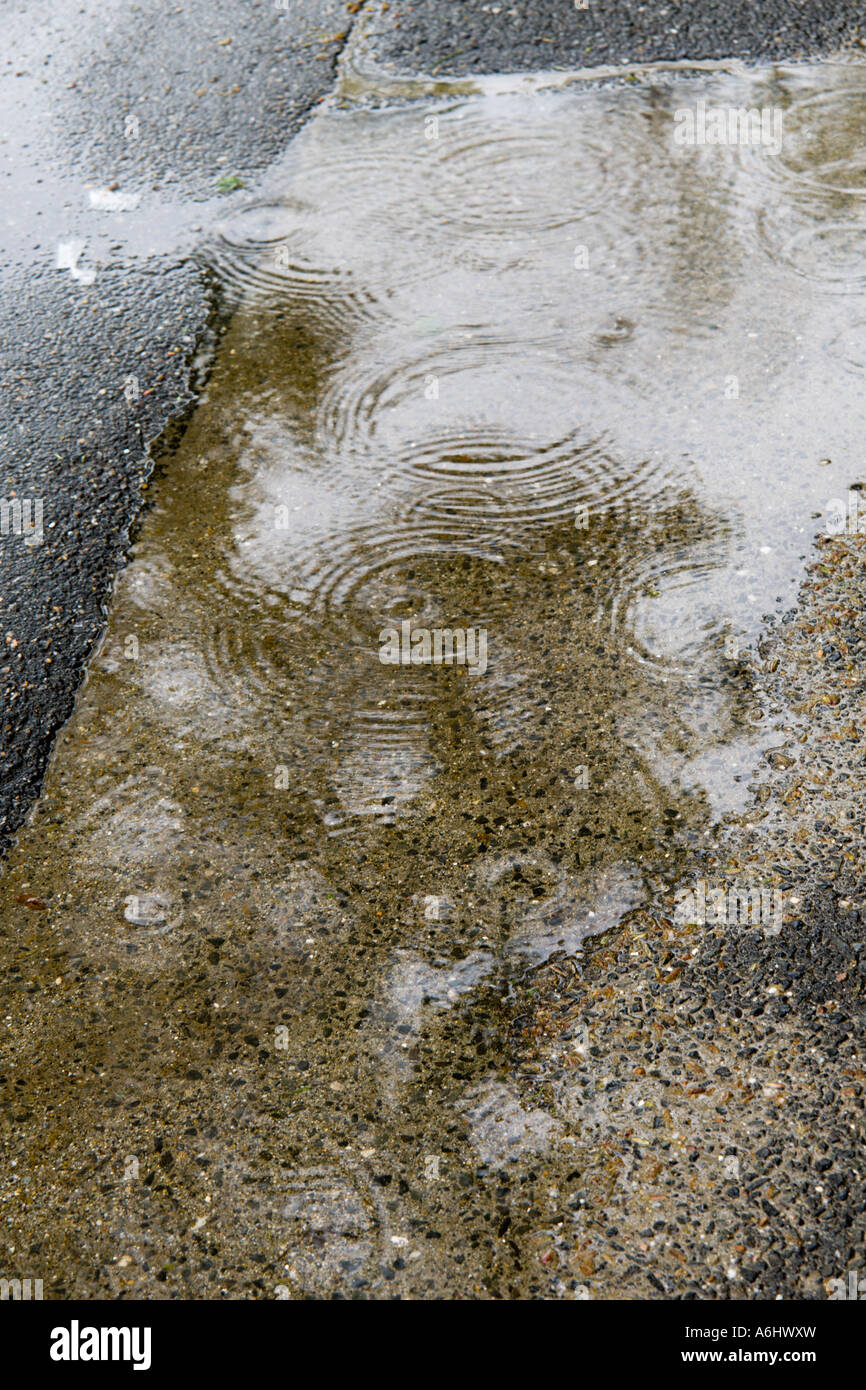 Les flaques d'eau et de gouttes Banque D'Images