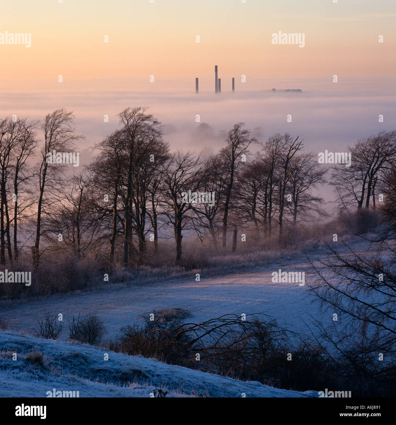 Winter Mist Chilterns à Pitstone Bucks Royaume-Uni Banque D'Images