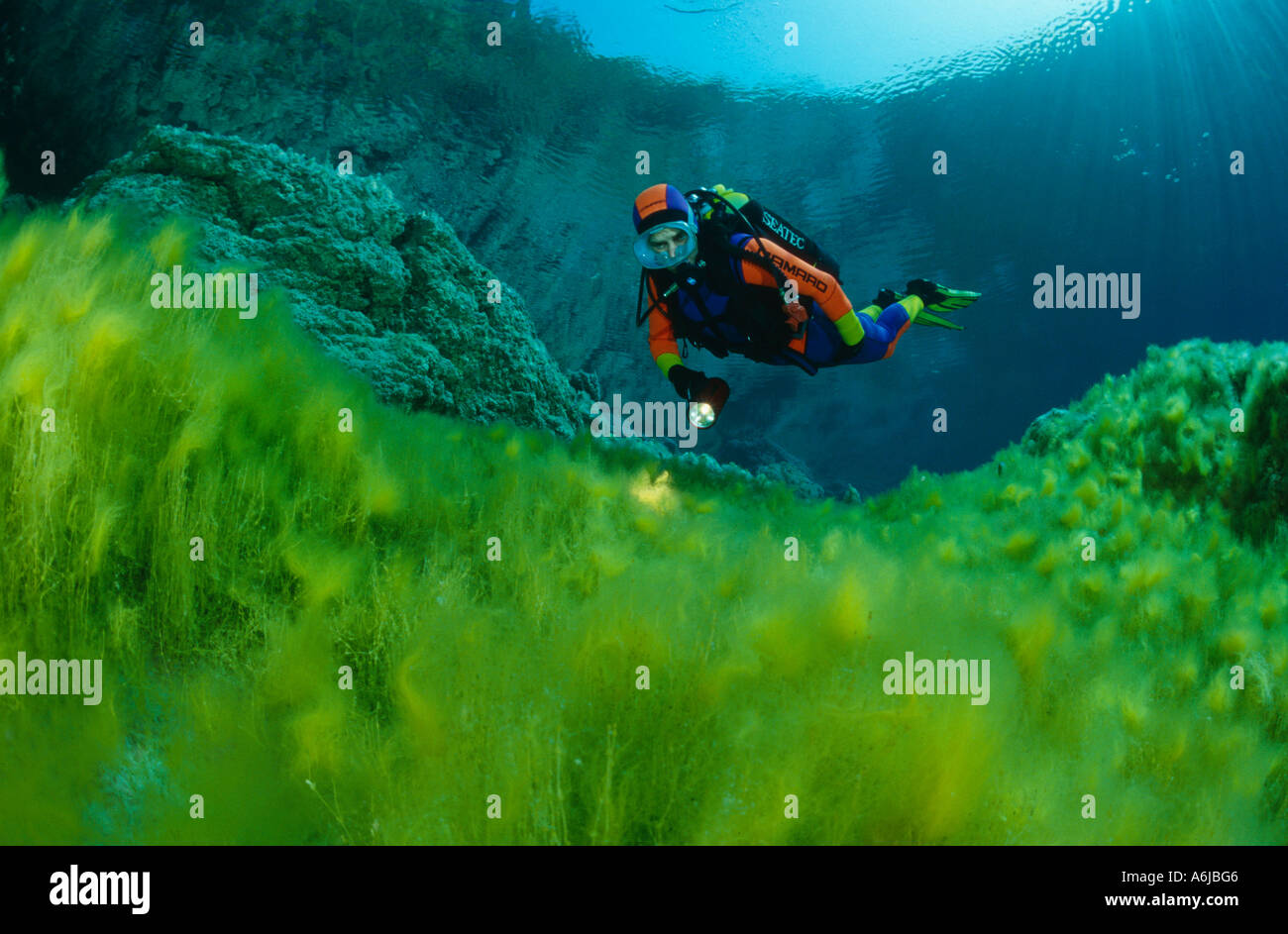 Plongée sous marine dans des eaux cristallines du lac de montagne Banque D'Images