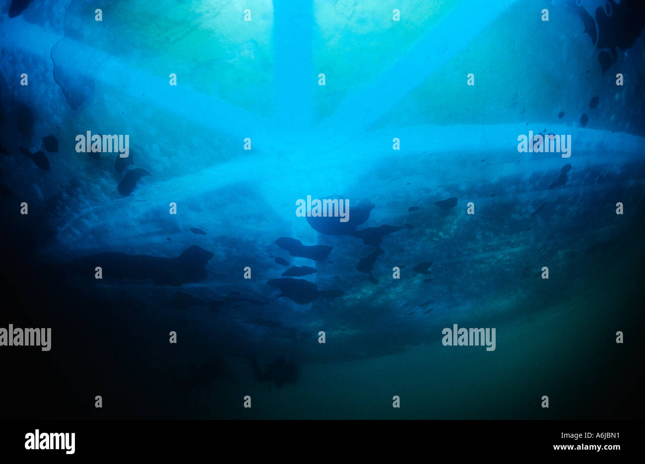 Les marques en forme d'étoiles sous la glace Banque D'Images