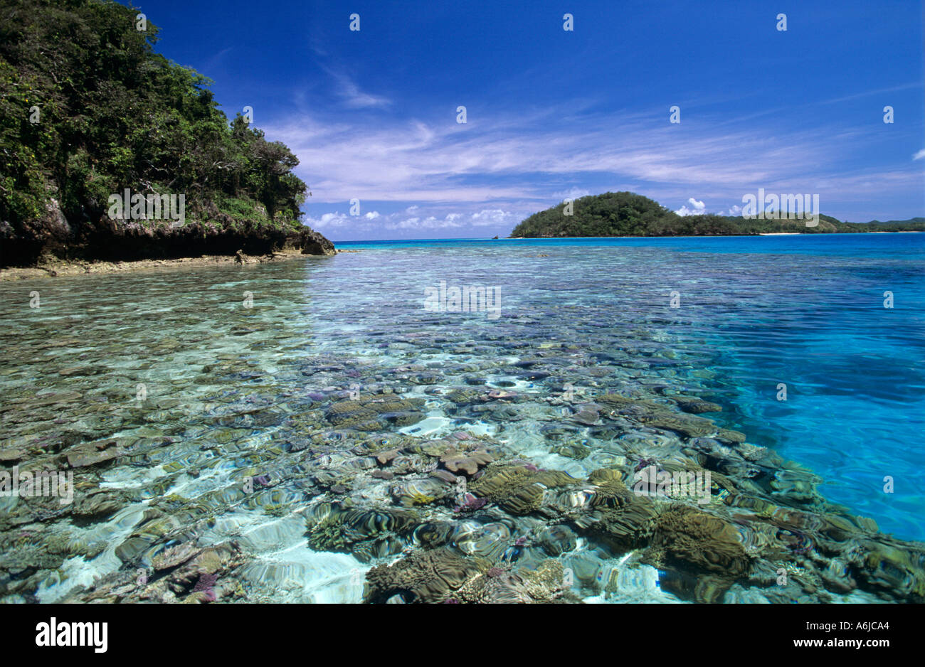 Récif peu profond et les coraux à travers la surface d'eaux bleu clair de Milne Bay en Papouasie-Nouvelle-Guinée Banque D'Images