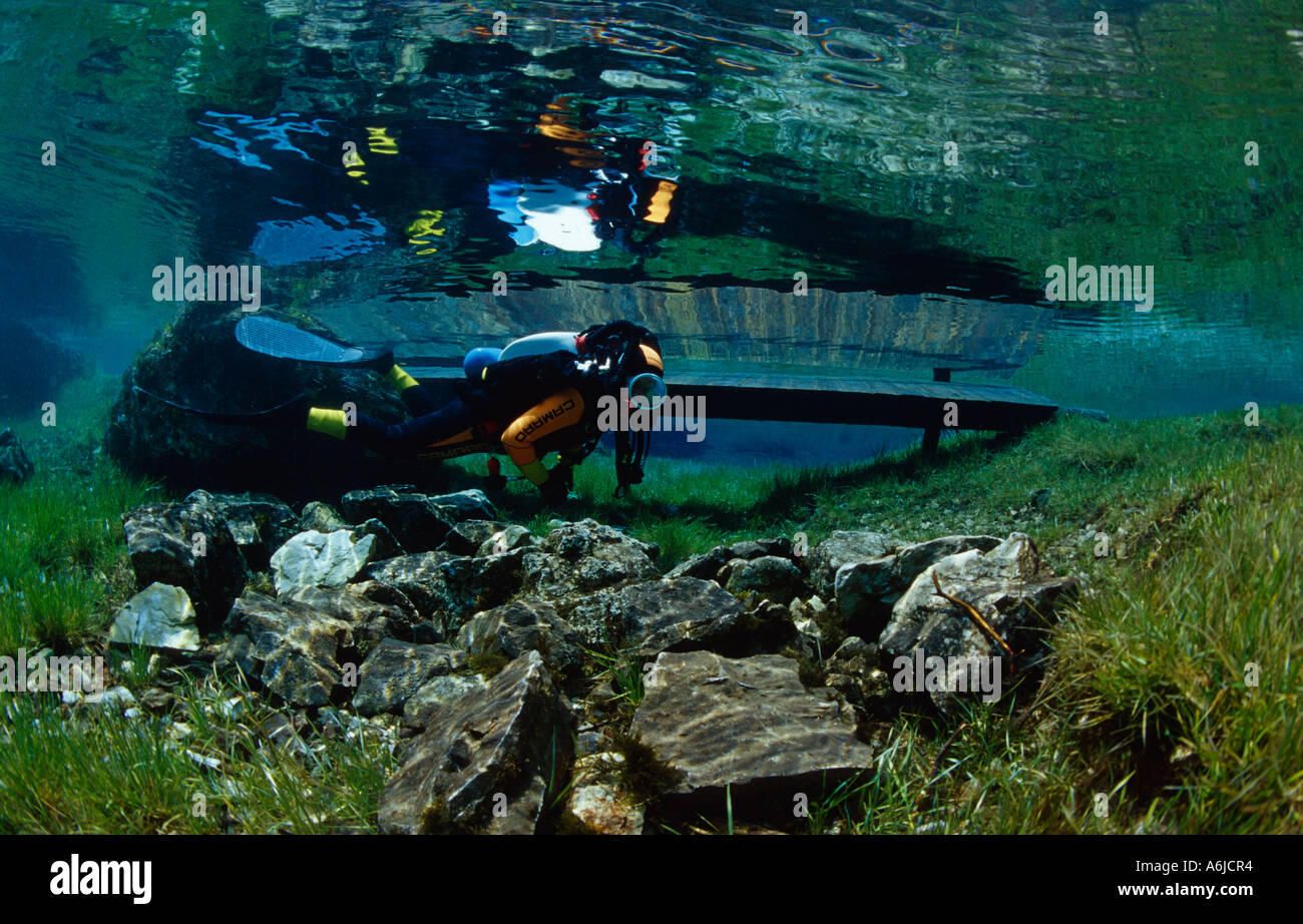 Plongée sous marine dans le lac de montagne Banque D'Images