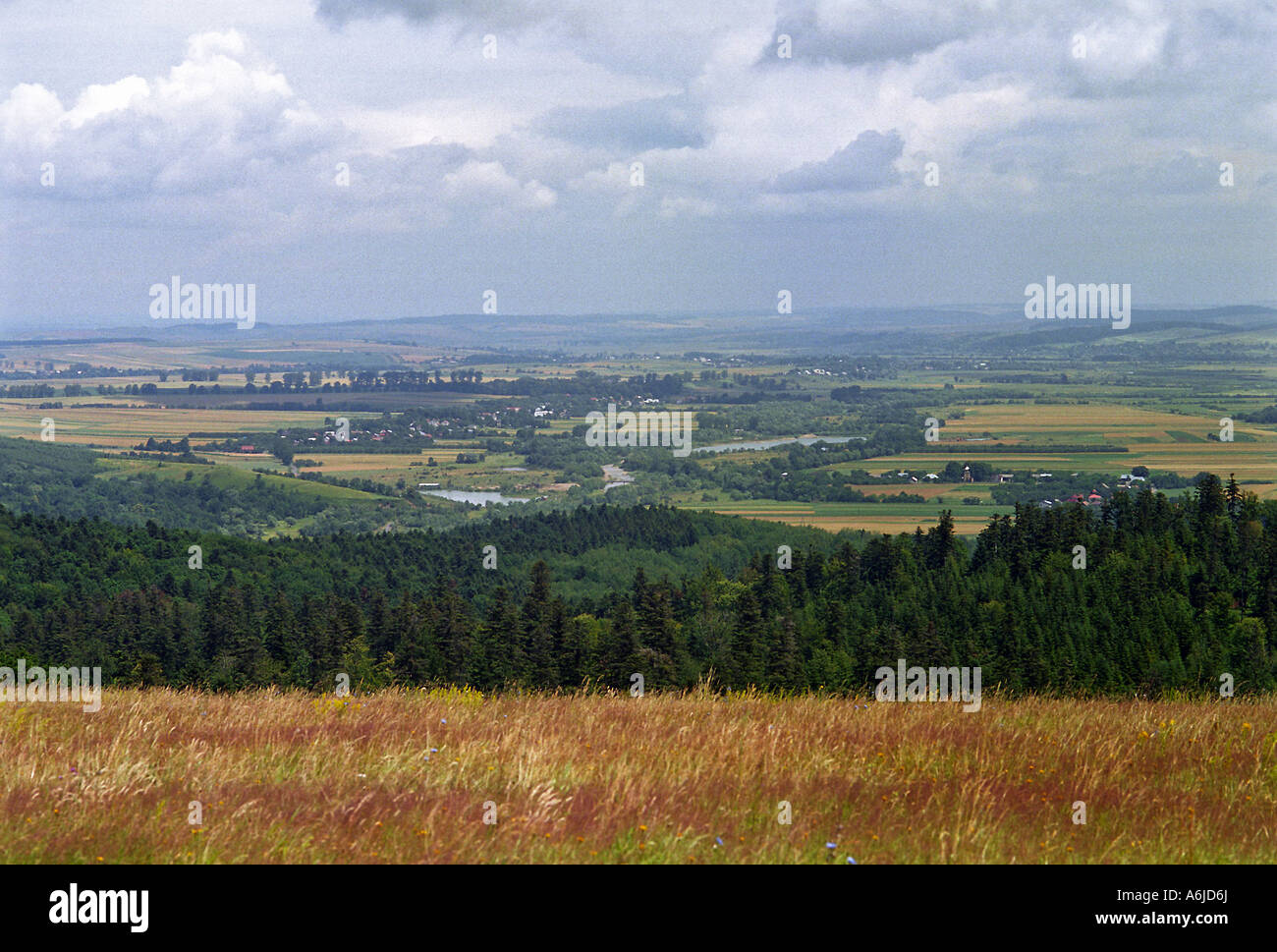 Paysage de terres agricoles dans la zone frontière polono-ukrainien, Nowe Sady, Pologne Banque D'Images