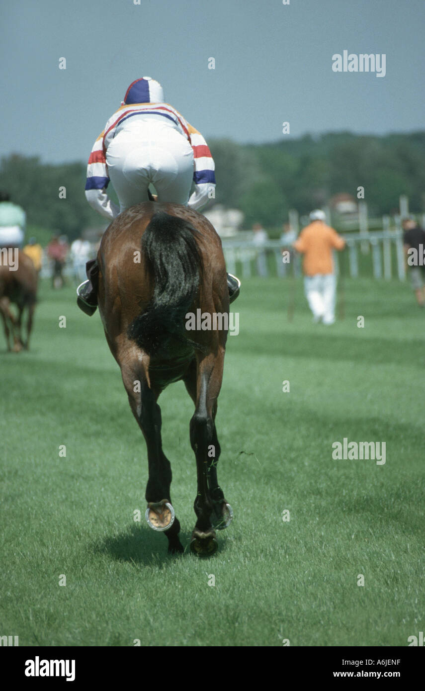 Jockey à cheval par derrière, l'Allemagne, Bade-Wurtemberg, Iffezheim Banque D'Images