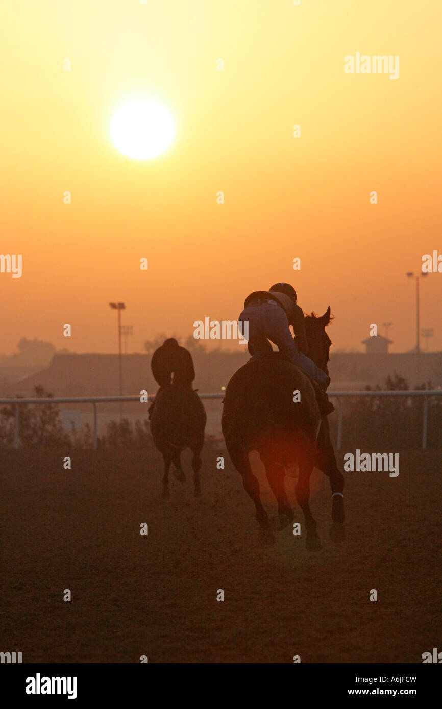 La formation à l'Al Quoz Équitation à Dubaï, Émirats Arabes Unis Banque D'Images