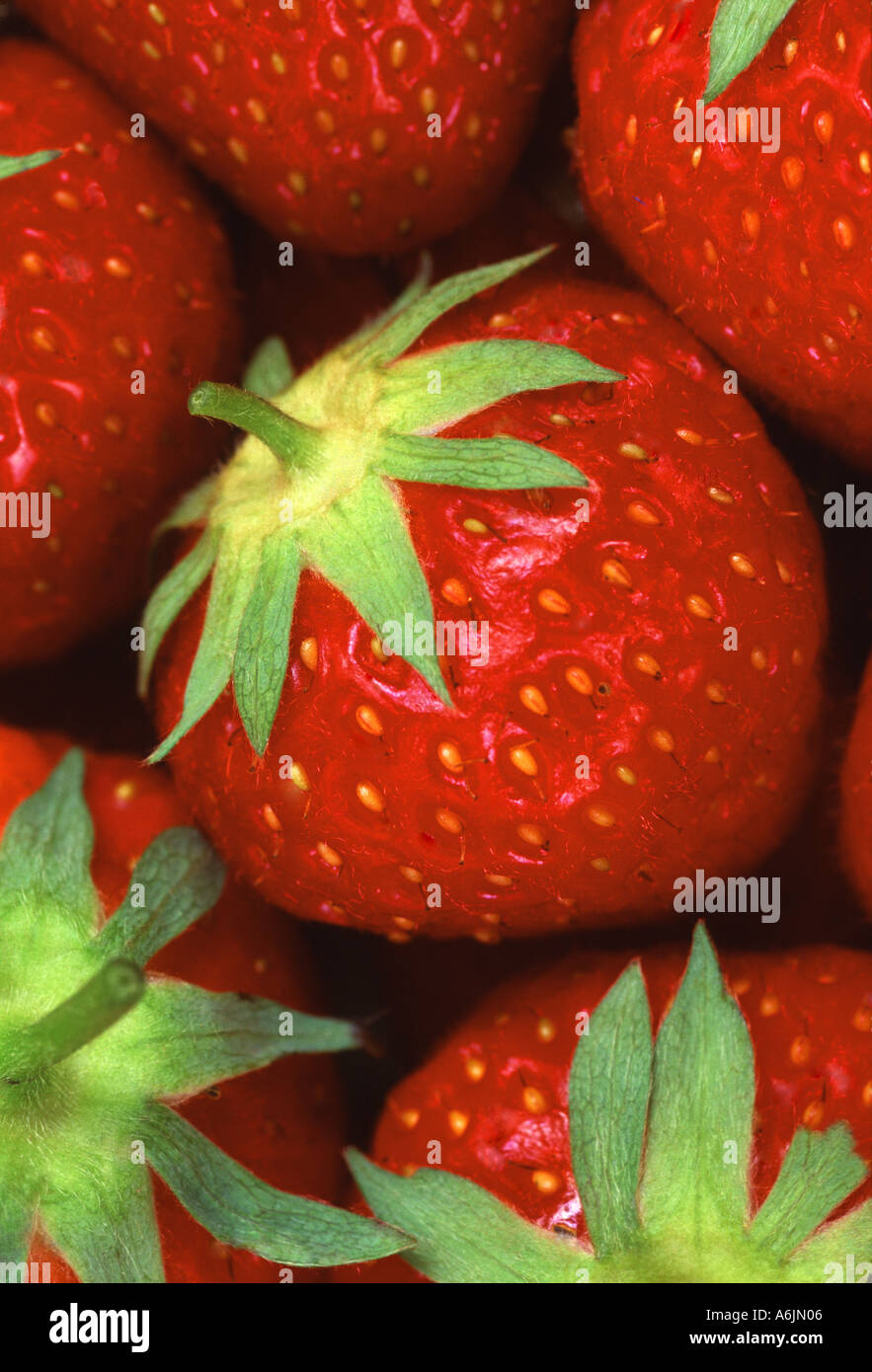 Fresh Strawberries in close up Banque D'Images