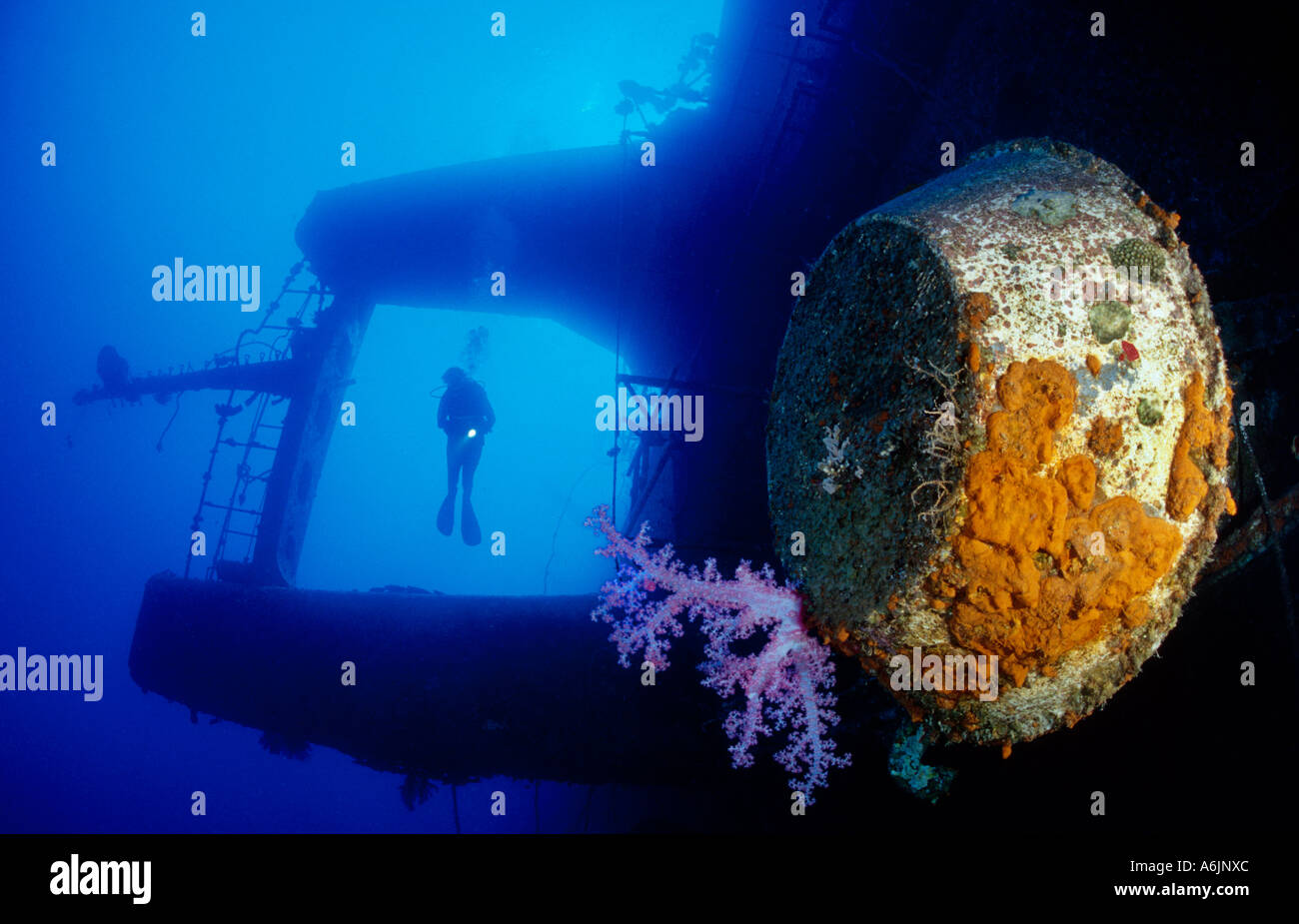 Scuba Diver avec ship wreck 'Salem Express' Banque D'Images