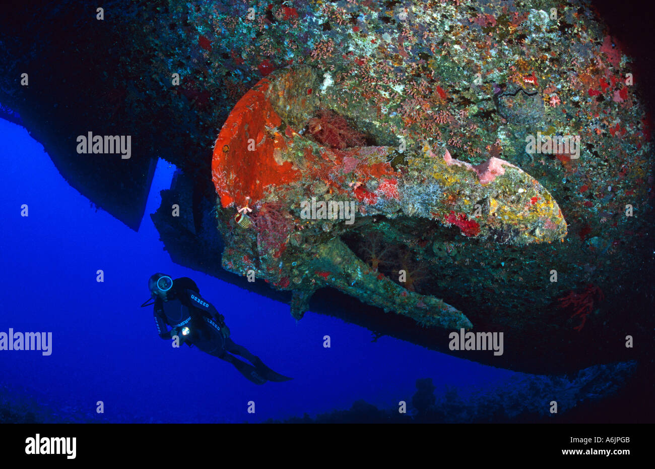 Scuba Diver avec ship wreck 'Salem Express' Banque D'Images