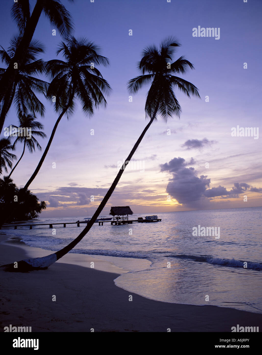 Pigeon point au coucher du soleil, Tobago, Trinité-et-Tobago, Petites Antilles, Caraïbes Banque D'Images