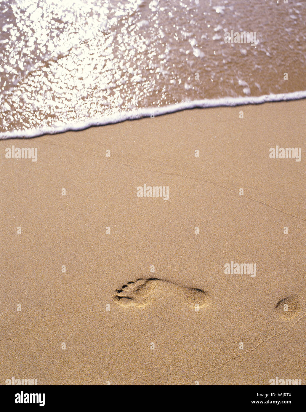 Des traces de pas dans le sable, Warwick Long Bay, Warwick, Bermudes Banque D'Images
