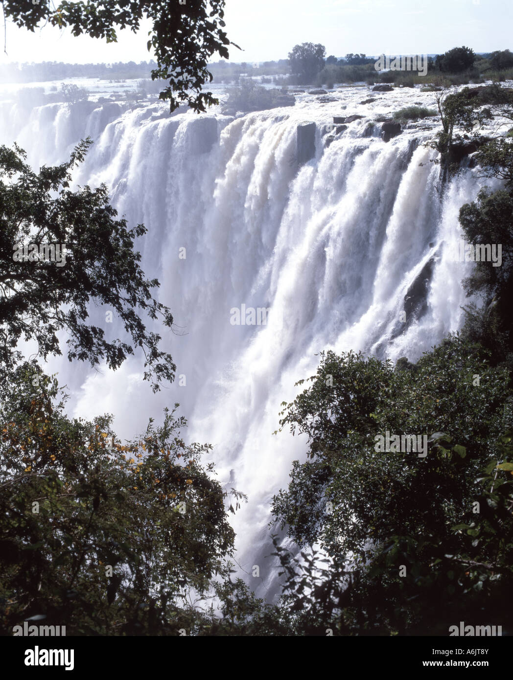 Victoria Falls (Mosi-oa-Tunya), Livingstone, Province du Sud, Zambie Banque D'Images
