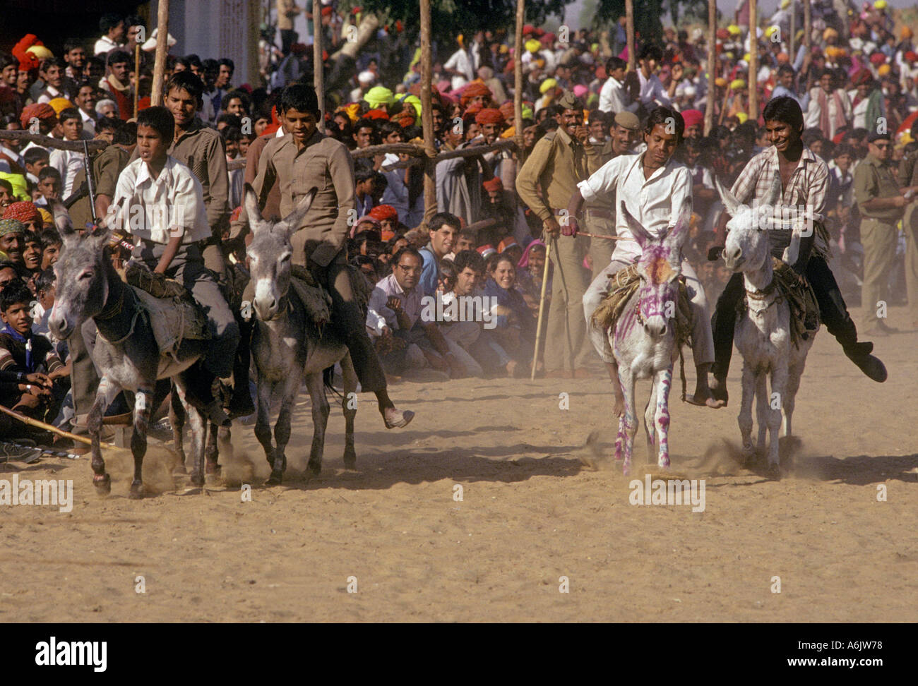 Les garçons du Rajasthan tour dans une course d'ânes à l'CAMEL PUSHKAR RAJASTHAN INDE ÉQUITABLE Banque D'Images