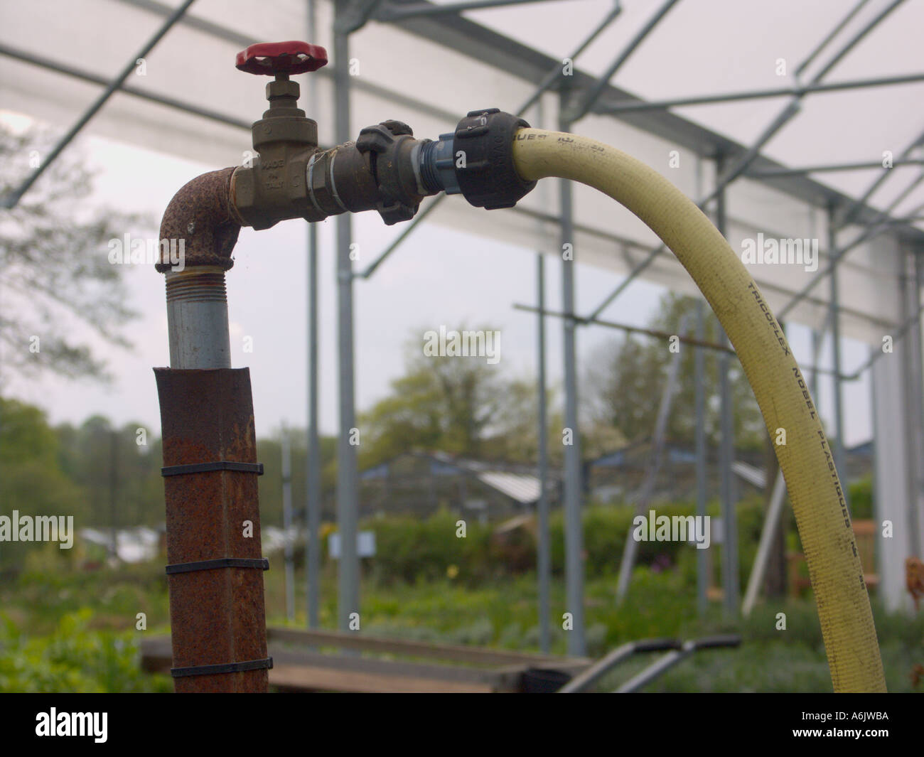 Dans une pépinière d'irrigation Banque D'Images