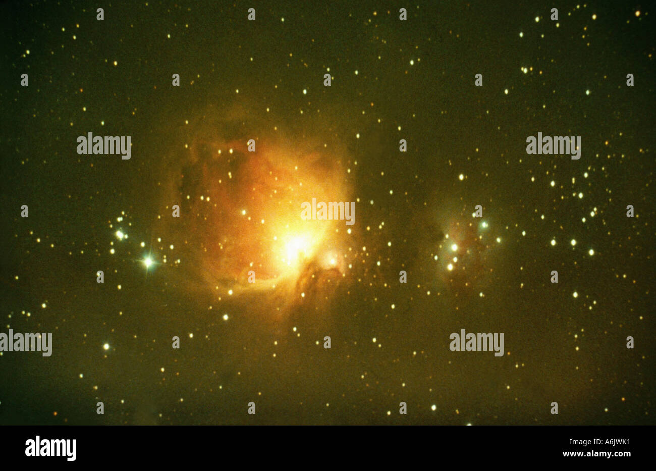 Nébuleuse d'Orion M 42 (NGC 1976), l'Allemagne, Bade-Wurtemberg Banque D'Images