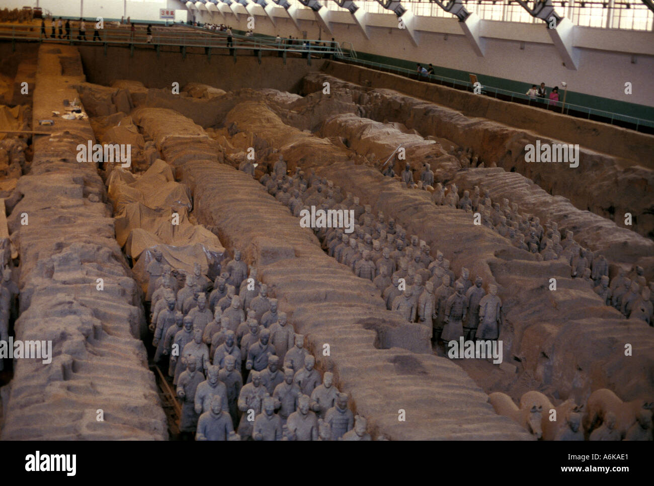 L'Armée de terre cuite,Xian, Chine Banque D'Images