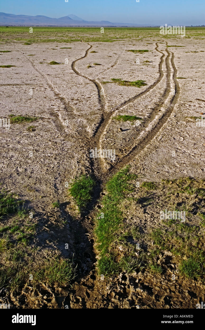 Jeu paysage sentier menant à l'eau du Parc National d'Amboseli au Kenya Banque D'Images