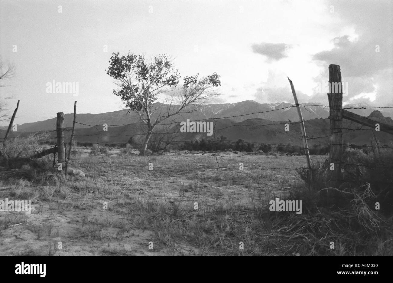 L'entrée de la vallée d'Owens ranch Banque D'Images