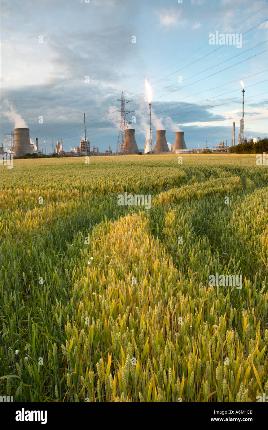 Grangemouth, Région de Falkirk, Ecosse, Royaume-Uni. Banque D'Images