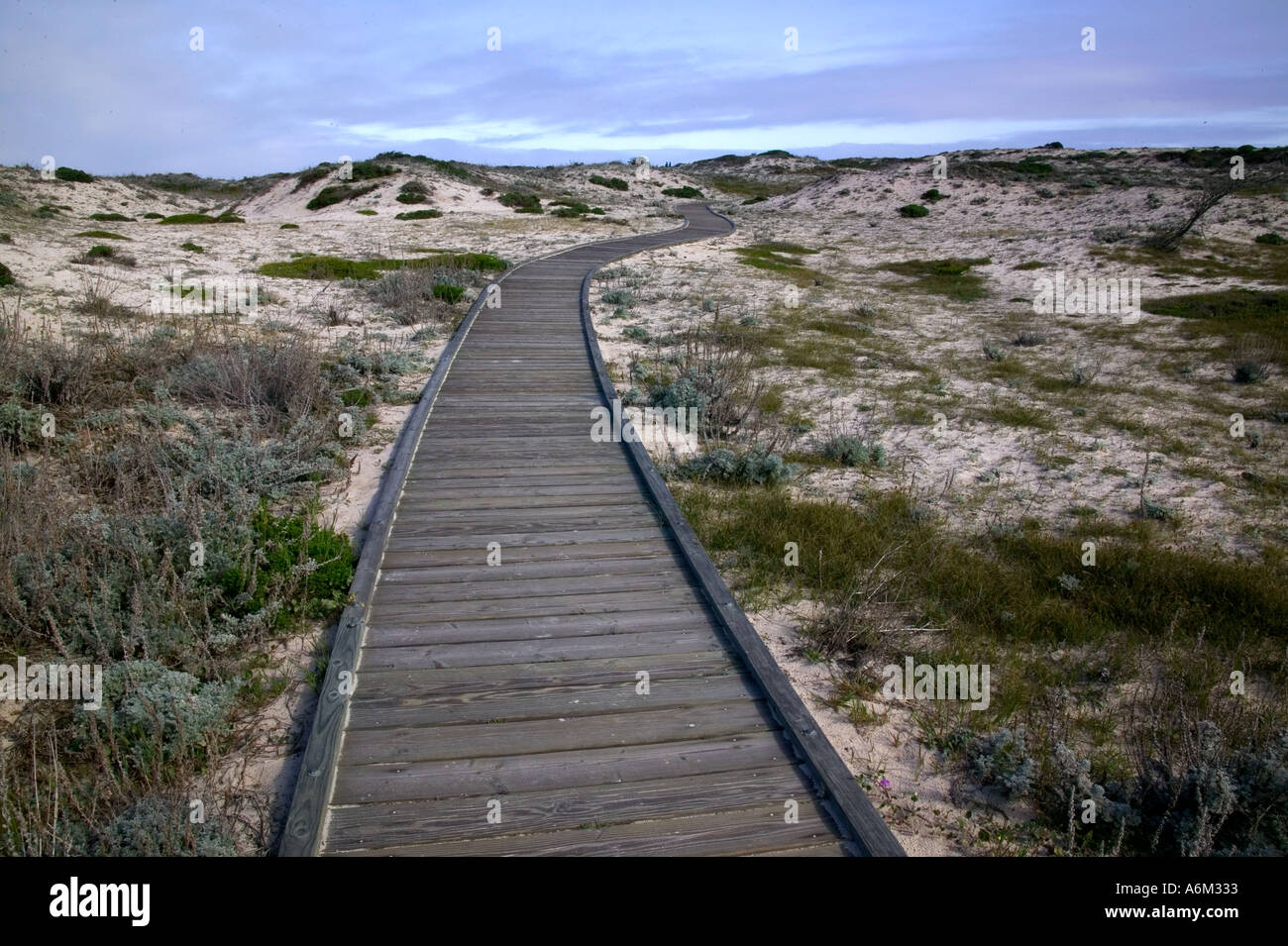 Grâce à la promenade le long des dunes de la côte de la Californie près de Carmel Banque D'Images