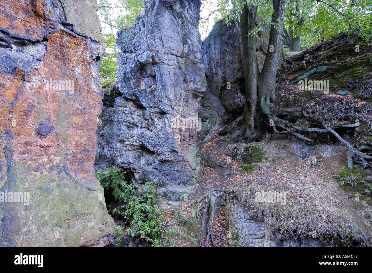 Pierres et rochers et un ruisseau près du lac Machovo en République Tchèque Banque D'Images