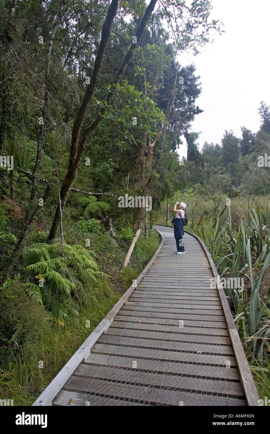 Touriste l'observation des oiseaux à bord du lac à pied du Sud Nouvelle-zélande Westland Matheson Banque D'Images