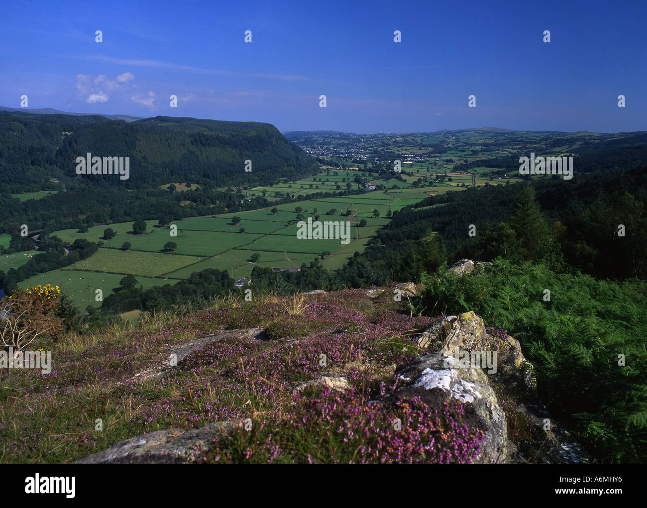 Vallée de Conwy près de Betws y Coed Vue de Mynydd Garthmyn Conwy dans le Nord du Pays de Galles Conwy distance UK Banque D'Images