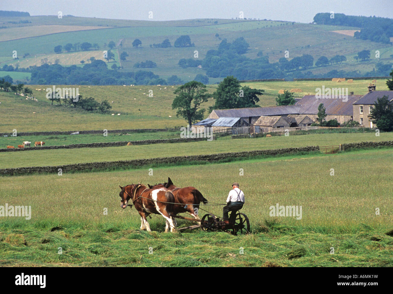 Une équipe du cheval de la tonte d'herbe dans un champ. Northumberland, England, UK Banque D'Images