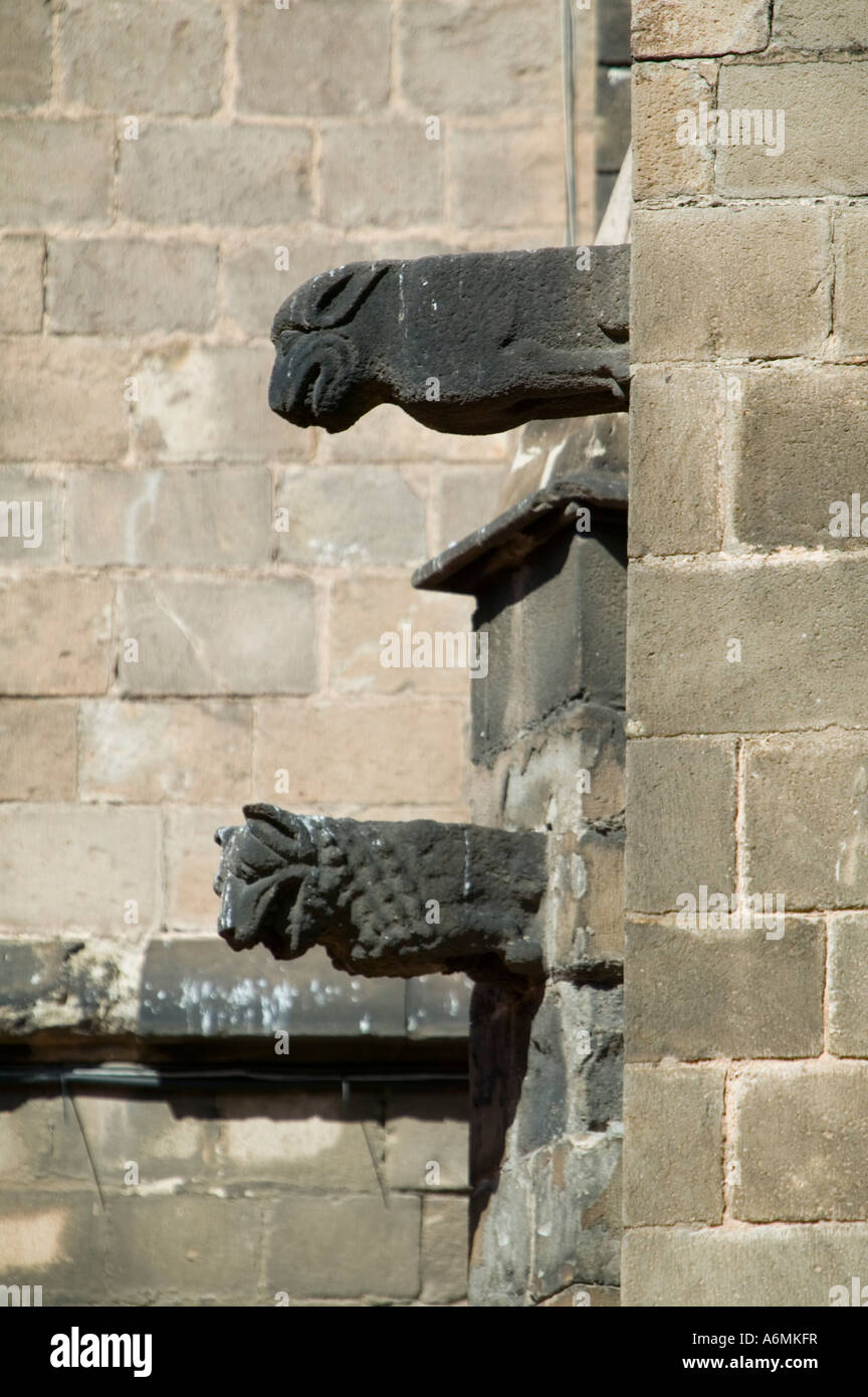 Deux sculptures d'animaux projection de mur de la cathédrale de Barcelone El Barri Gotic Quartier Gothique de Barcelone Catalogne Espagne Banque D'Images