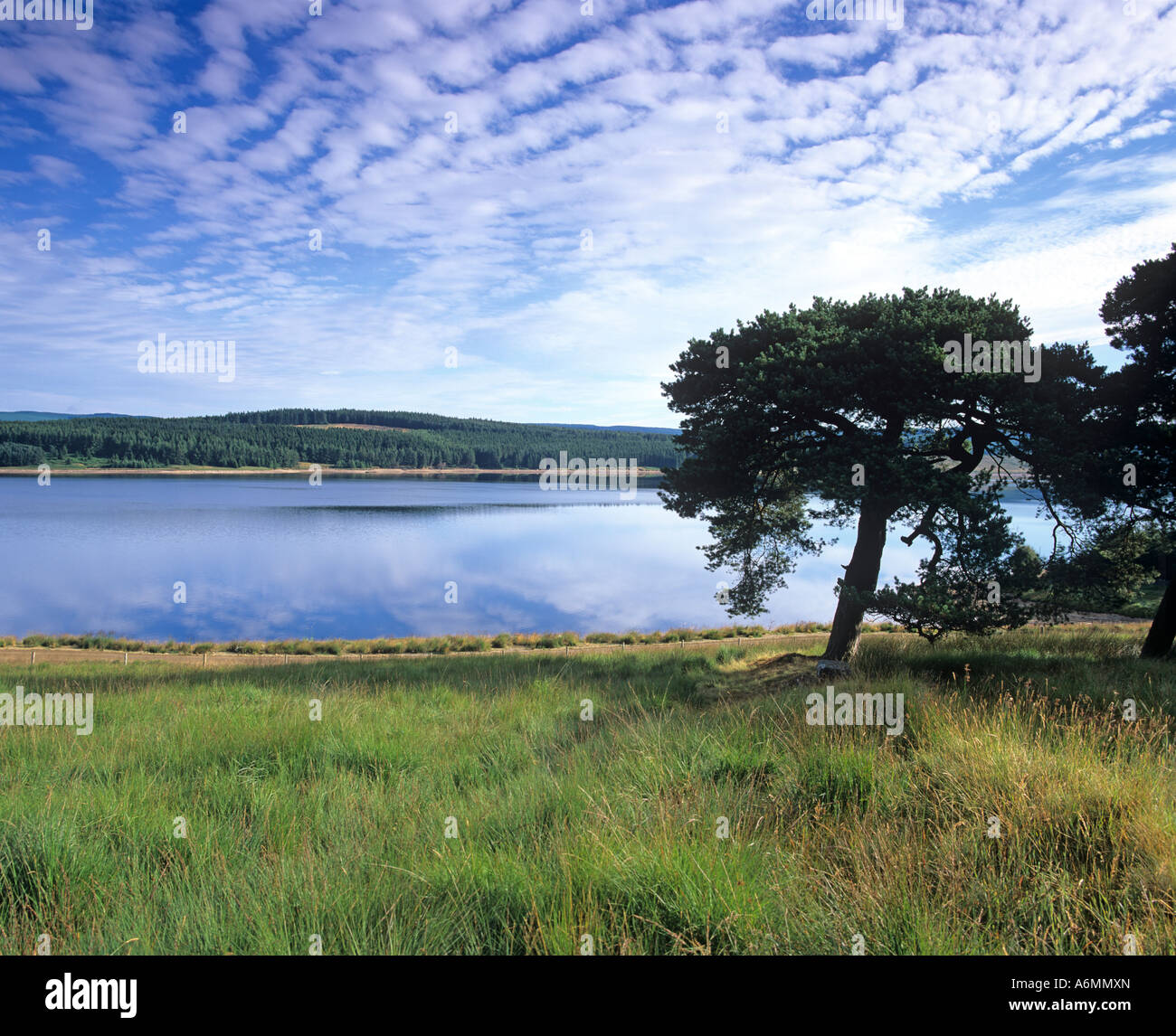 Kielder Water et forêt en Parc National de Northumberland Eng;et UK Banque D'Images