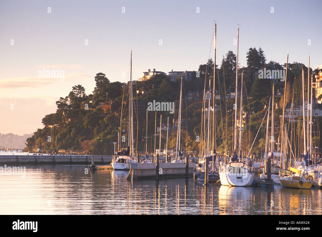 Voiliers amarrés au port de plaisance d'eau calme au lever de Tiburon le comté de Marin en Californie Banque D'Images