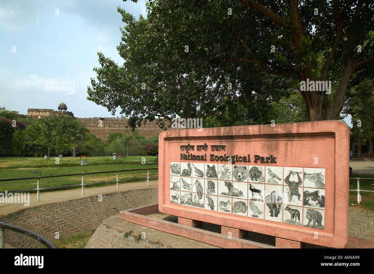 Parc zoologique National Zoo de Delhi Delhi Inde Banque D'Images