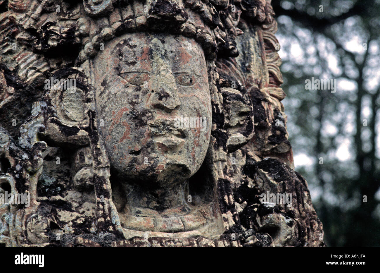 Stèle sculptée en pierre mégalithe représentant les anciens Mayas, fumée King Lapin 18 ruines mayas de Copan Honduras Amérique Centrale Banque D'Images