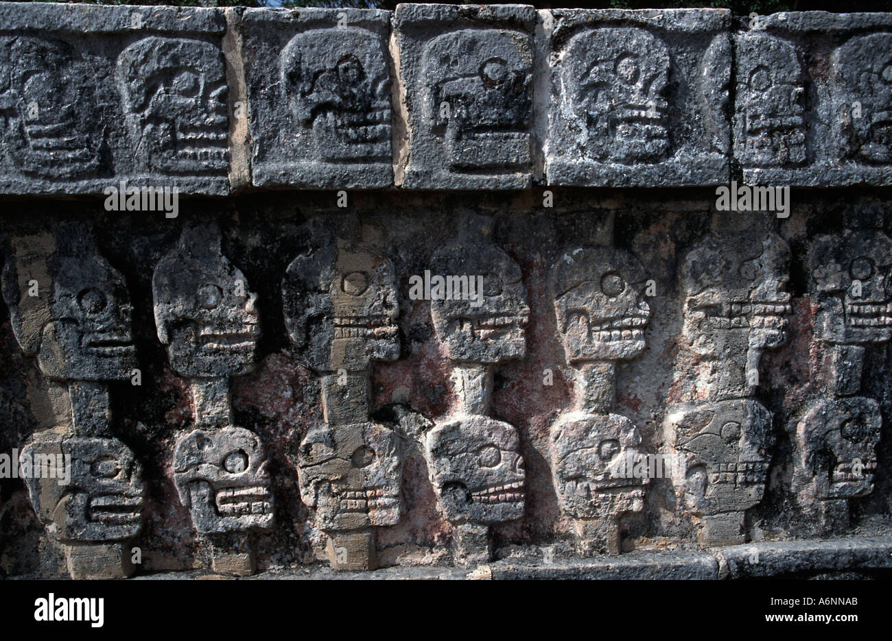Skullracks crânes sculptés la ligne Tzompantli plate-forme du site antique de crânes de Chichen Itza Yucatan Mexique Banque D'Images