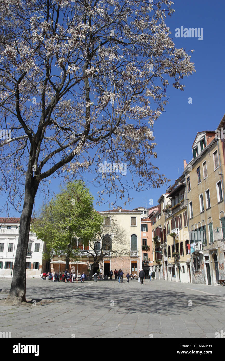 Italie Venise Campo San Polo square au printemps avec tree blossom Venise  Italie Photo Stock - Alamy